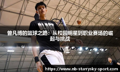 星空体育官网