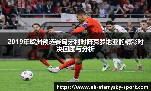 星空体育官网下载
